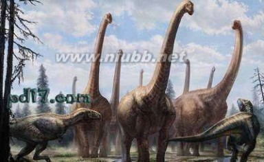 巨型恐龙遗骸出土是怎么回事?是什么地方出土的是什么品种揭秘