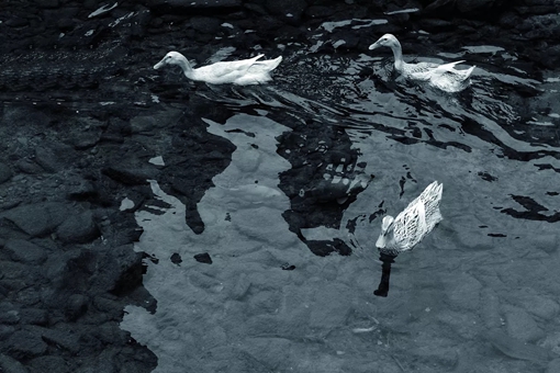 安徽省简称为什么叫皖?皖是什么意思?