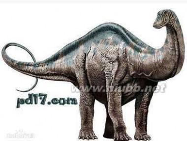 巨型恐龙遗骸出土是怎么回事?是什么地方出土的是什么品种揭秘