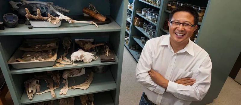 科学家发现混元兽是怎么回事?混元兽是什么兽揭秘 科学家发现混元兽是怎么回事?混元兽是什么兽揭秘