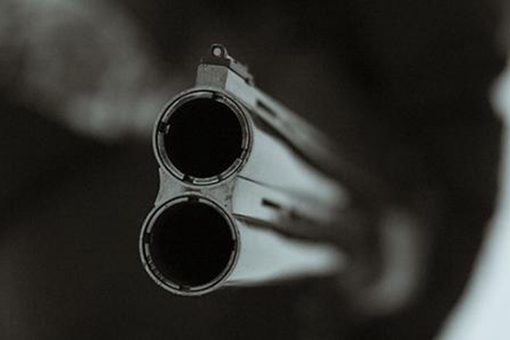 达尔文奖是什么奖?盘点那些世界历史上被自己蠢死的人 达尔文奖是什么奖?盘点那些世界历史上被自己蠢死的人