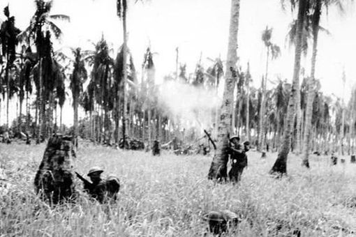 太平洋战争中最奇葩的战斗,人鸟大战
