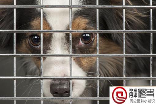 李景隆是真的草包吗?朱允炆为什么用李景隆?