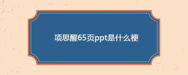 项思醒65页ppt是什么梗