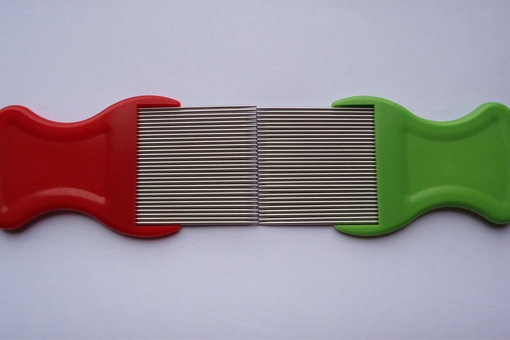 八十年代时小的时候,人身上为什么有那么多虱子?