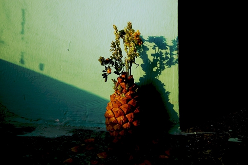 冠礼和笄礼是什么意思?古代人成年到底是几岁?