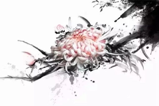 重阳节为什么要赏菊?菊花是如何成为重阳节的标志的?