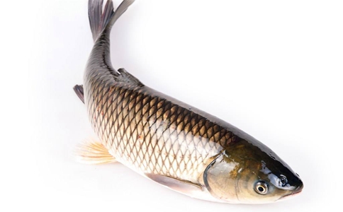 古代皇帝吃鱼吗?古代皇帝都吃哪些鱼? 古代皇帝吃鱼吗?古代皇帝都吃哪些鱼?