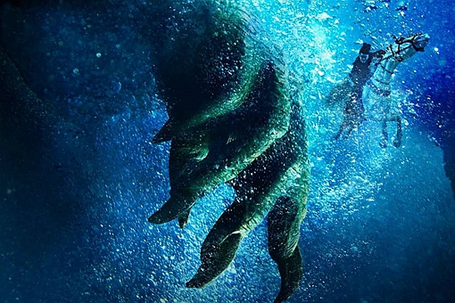 玉皇大帝经常吃龙肝,龙王们为什么不抗议?