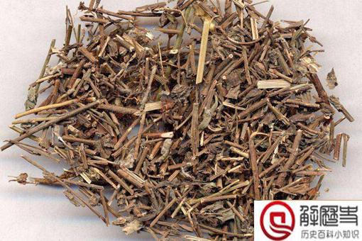 刘寄奴为什么叫刘寄奴?皇帝的名字为何会成为药名?