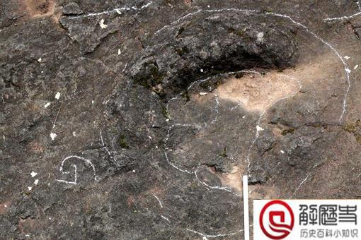 四川发现巨大恐龙足迹是怎么回事