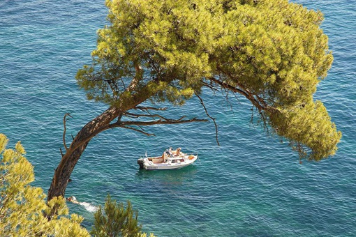 世界上最大的陆间海在哪?陆间海是什么意思揭秘