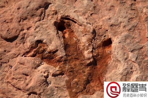四川发现巨大恐龙足迹是怎么回事