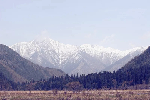 君子报仇为什么是十年不晚?“十年”到底有什么讲究