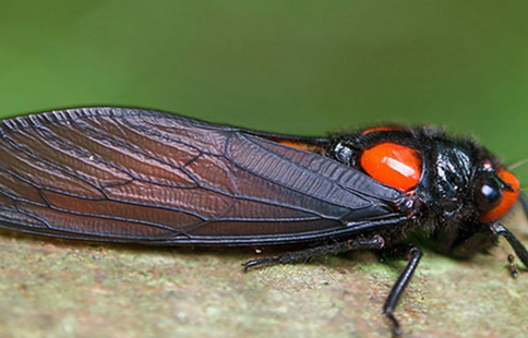 古代人用什么擦屁股?盘点各国古代使用的“卫生纸” 古代人用什么擦屁股?盘点各国古代使用的“卫生纸”