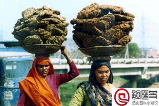 印度上千村民互扔牛粪送祝福 印度人为什么那么喜欢牛粪呢