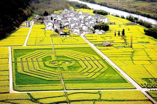 取名起名男不戴天女不带仙是什么原因 取名起名男不戴天女不带仙是什么原因