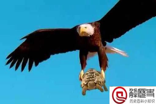 盘点历史上那些最离奇的死亡,一个比一个离奇 盘点历史上那些最离奇的死亡,一个比一个离奇