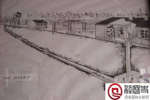 欧洲的骑士精神有多强大?一战英国战俘的亲生经历