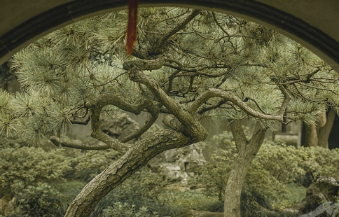 古代人都是怎么想办法避税漏税的?这个朝代因税收问题被拖垮 古代人都是怎么想办法避税漏税的?这个朝代因税收问题被拖垮