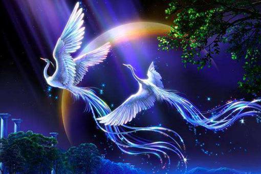 龙生九子,那么凤有几个孩子?