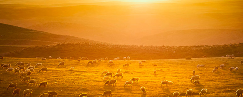 关中是指现在什么地方