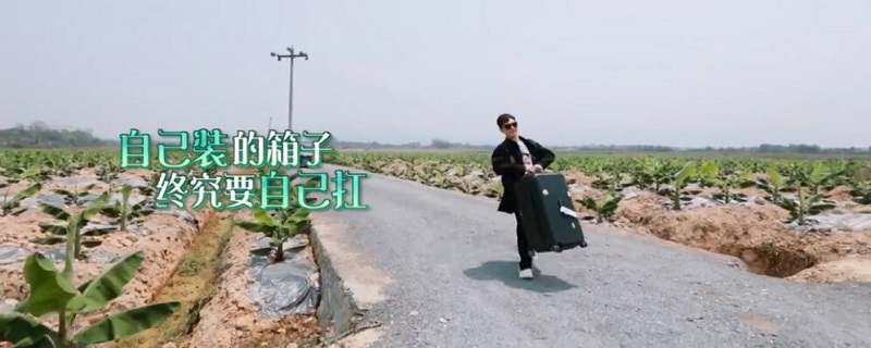 黄晓明向往的生活哪一期