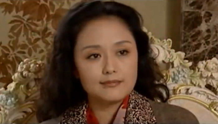 司马洛奇和汪丽华是什么电视剧