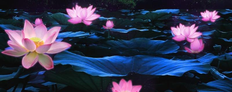 荷塘月色赏析 解历史