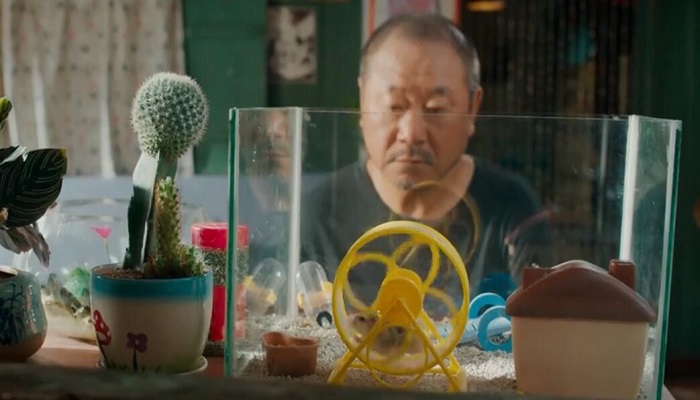 赵范伟电视剧买彩票叫什么名