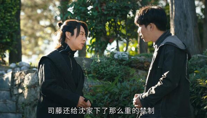 司藤里面的白金是什么身份