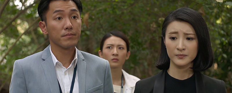 十二传说的演员