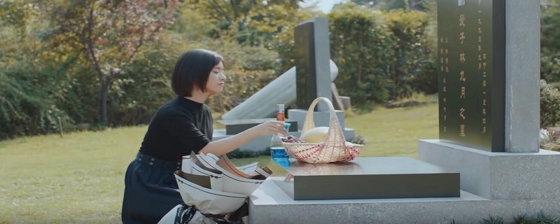 电视剧安生最后和谁在一起