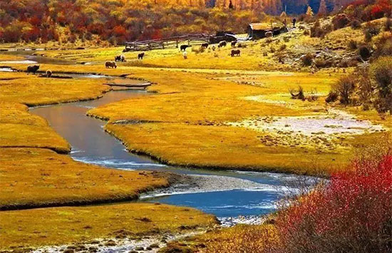 新神雕取景地方在哪儿 取景地在四川哪儿