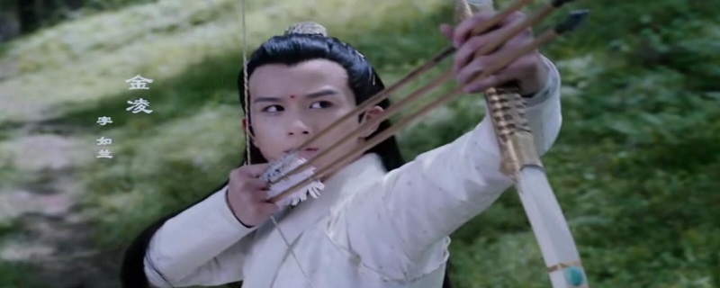 陈情令中金凌是谁的孩子
