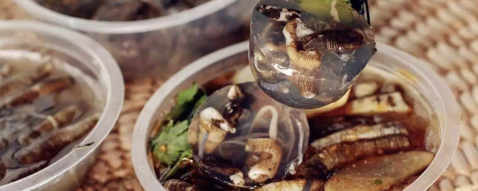 土笋冻里面的虫子是啥