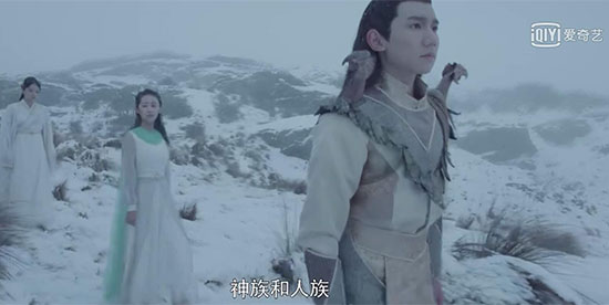 大主宰电视剧是网播吗