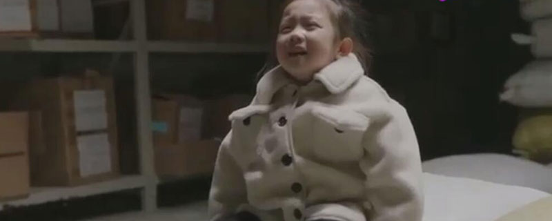 遇见幸福的乐乐是谁演的