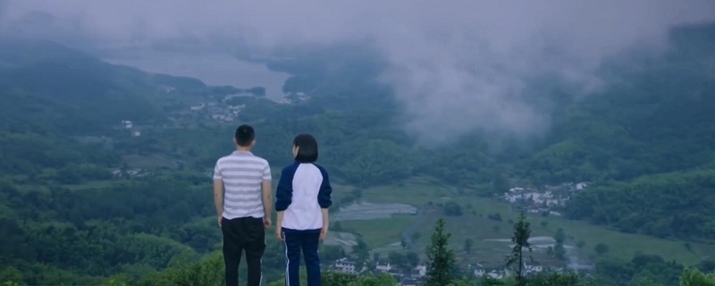 山月不知心底事剧情介绍