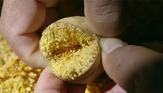 中国好看的美食纪录片 国产美食记录片推荐