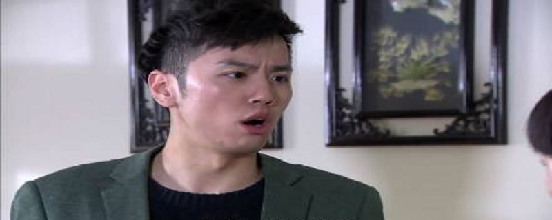李金龙魏金凤是什么电视 