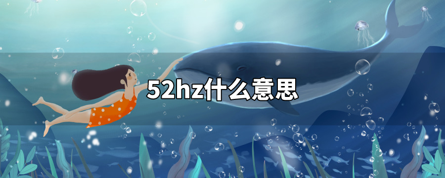 有一条52hz的鲸它叫alice,在其他鲸鱼眼里,alice就像是个哑巴,原因是