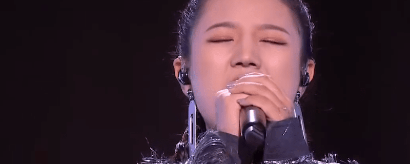 中国好声音历届冠军 中国好声音历届冠军是谁