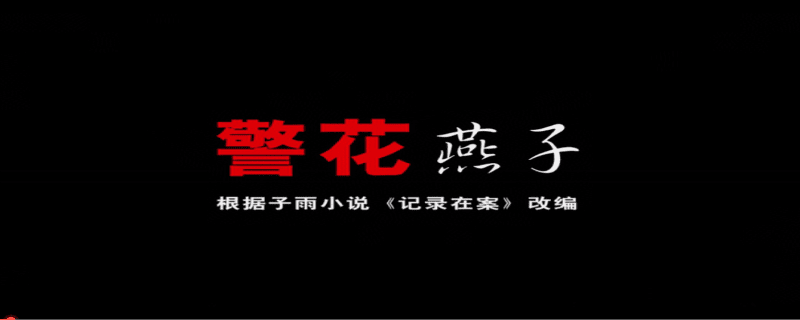 汤唯演的女交警电视剧