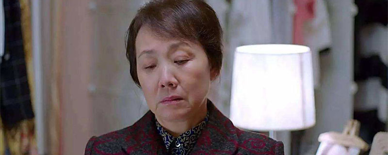欢乐颂樊胜美父母来上海是第几集