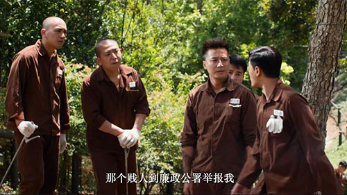 反贪风暴4林峰演的谁