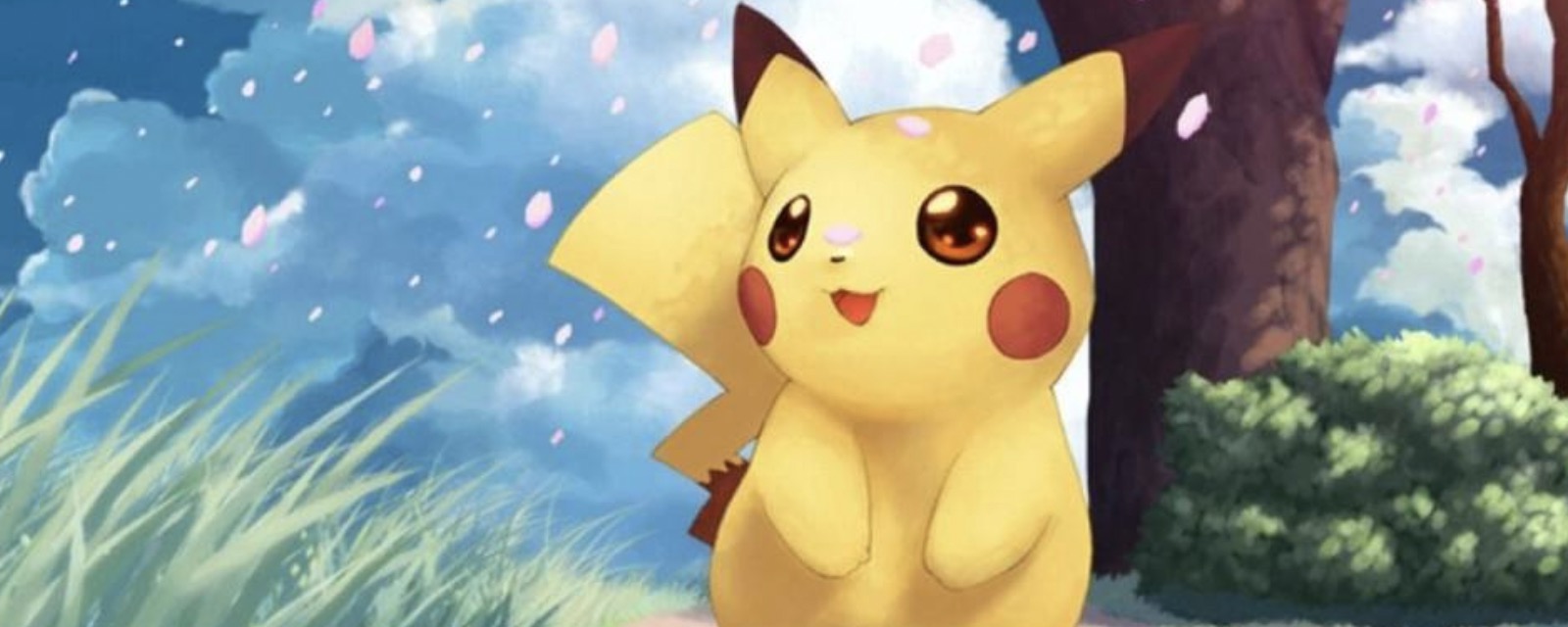 皮卡丘是什么动画片