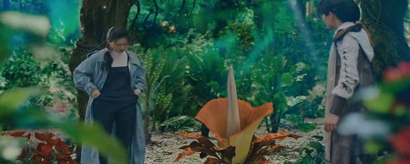 青囊传剧情介绍