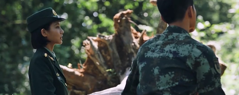 杨洋李一桐电视剧