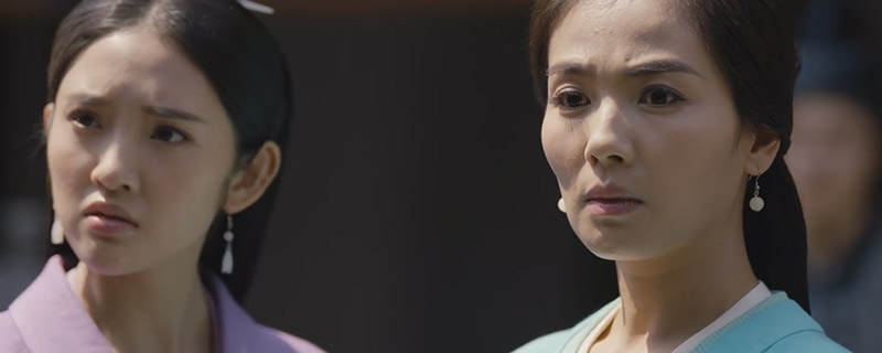 刘涛演司马懿老婆电视剧